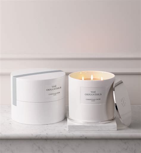 dior candle|dior candles online.